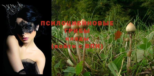 дмт Абинск